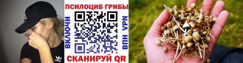 купить наркоту  Рыльск  Галлюциногенные грибы Magic Shrooms 